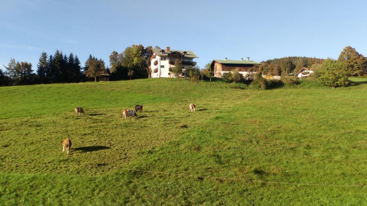 Готель Die Schlafende Goass - Pub Und Gaestehaus Бішофсвізен Екстер'єр фото